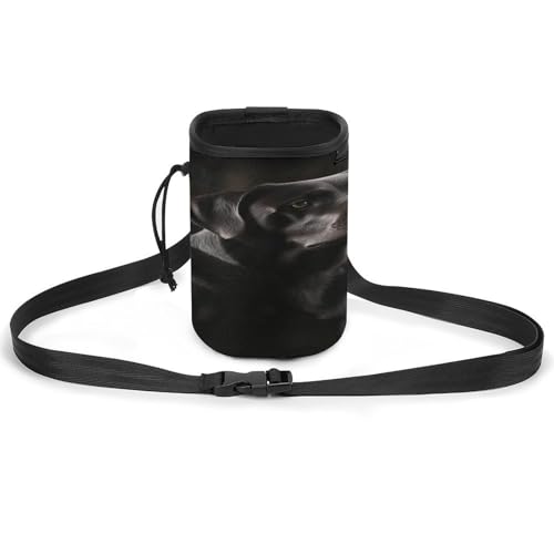Leichtes Haustier-Trainingspaket, schwarzer Labrador-Druck, vielseitige Haustier-Trainingstasche, stilvolles Haustierzubehör, ideal für Spaziergänge mit dem Hund Leichtes Haustier-Trainingspaket, schwarzer Labrador-Druck, vielseitige Haustier-Trainingstasche, stilvolles Haustierzubehör, ideal für Spaziergänge mit dem Hund von YKUDBN