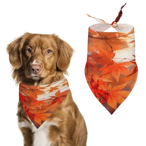 Premium-Haustier-Schal, Ahornblätter in der Sonne, weich, atmungsaktiv, Dreieckstuch für Hunde und Katzen, perfekt für den täglichen Gebrauch oder besondere Anlässe Premium-Haustier-Schal, Ahornblätter in der Sonne, weich, atmungsaktiv, Dreieckstuch für Hunde und Katzen, perfekt für den täglichen Gebrauch oder besondere Anlässe von YKUDBN