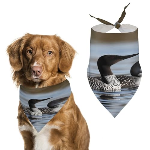 Premium-Haustier-Schal, Loon Birds Print, weiches und atmungsaktives Dreieckstuch für Hunde und Katzen, perfekt für den täglichen Gebrauch oder besondere Anlässe Premium-Haustier-Schal, Loon Birds Print, weiches und atmungsaktives Dreieckstuch für Hunde und Katzen, perfekt für den täglichen Gebrauch oder besondere Anlässe von YKUDBN