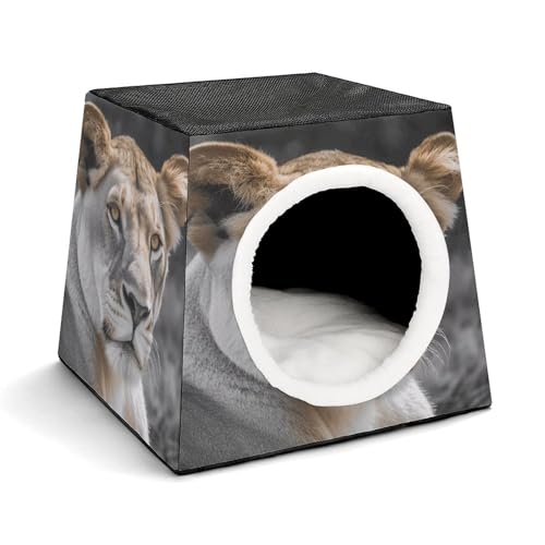 YKUDBN Cozy Capsule Pet Nest for Small Cats and Dogs, Lioness with Blue Green Eyes Print Portable Pet Nest Small Pet Nest Capsule Design Pet Nest Small Animal Nest YKUDBN Cozy Capsule Pet Nest for Small Cats and Dogs, Lioness with Blue Green Eyes Print Portable Pet Nest Small Pet Nest Capsule Design Pet Nest Small Animal Nest von YKUDBN
