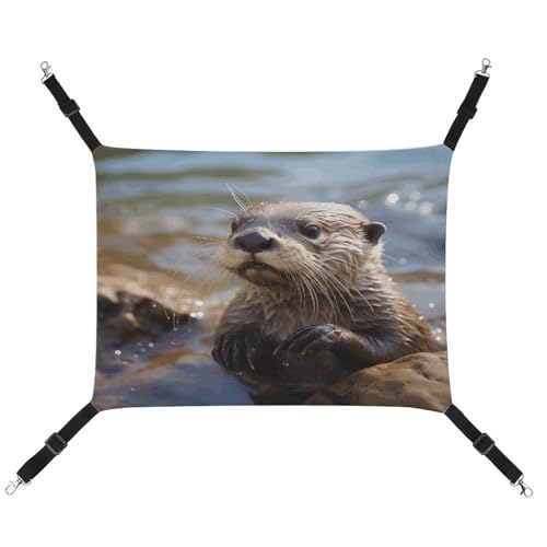 YKUDBN Tragbare Haustier-Hängematte aus Segeltuch, Otter spielt im Wasser, stilvolle Haustier-Hängematte, ideal für kleine Haustiere, atmungsaktiv, platzsparend und leicht zu reinigen YKUDBN Tragbare Haustier-Hängematte aus Segeltuch, Otter spielt im Wasser, stilvolle Haustier-Hängematte, ideal für kleine Haustiere, atmungsaktiv, platzsparend und leicht zu reinigen von YKUDBN