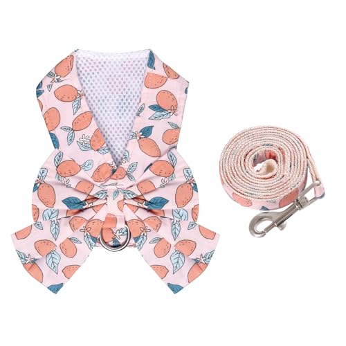 YKYUASD Hundegeschirr und Leine, verstellbar, Welpengeschirr, Netzweste, Set, Schleife, Knoten, Haustierkleidung für kleine Mädchen, Hunde, Katzen, Sommer, Orange, Größe M von YKYUASD