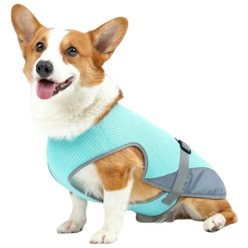 Sommer Hundekleidung Haustier Hund Kleidung Atmungsaktive Weste Sommer Geschirr Kleine Und Mittlere Hunde Kleidung-Blau-L Sommer Hundekleidung Haustier Hund Kleidung Atmungsaktive Weste Sommer Geschirr Kleine Und Mittlere Hunde Kleidung-Blau-L von YLCYDLYU