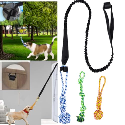 5 Stück Federstab-Hundespielzeug, Hundespielzeug für drinnen und draußen, Bungee-Hängespielzeug, interaktives Halteband zum Ziehen und Zerren, für kleine, mittelgroße bis große Hunde 5 Stück Federstab-Hundespielzeug, Hundespielzeug für drinnen und draußen, Bungee-Hängespielzeug, interaktives Halteband zum Ziehen und Zerren, für kleine, mittelgroße bis große Hunde von YLTFUTR