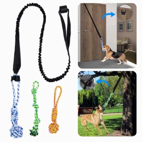 Hundespielzeug mit Federstange, Baum, Bungee-Hängespielzeug, für drinnen und draußen, interaktives Übungsspielzeug, Zieh- und Ziehspielzeug, Hundespielzeug mit Kauseil, Solo-Spiel für mittelgroße bis Hundespielzeug mit Federstange, Baum, Bungee-Hängespielzeug, für drinnen und draußen, interaktives Übungsspielzeug, Zieh- und Ziehspielzeug, Hundespielzeug mit Kauseil, Solo-Spiel für mittelgroße bis von YLTFUTR