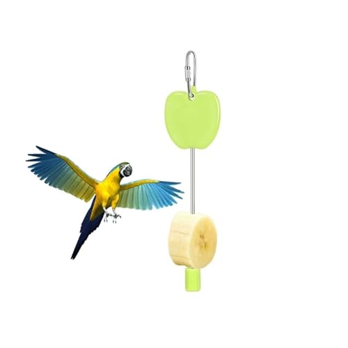 YLWX Käfig-Fruchtfutterspender for Nymphensittiche for Vögel, Edelstahl-Sittich-Futterspender for Käfige, Papageien-Fruchtgabel-Futterspender (Color : Green Apple) von YLWX