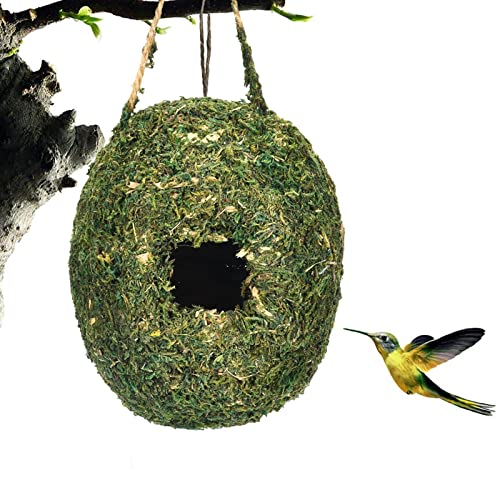 Kolibri-Häuser zum Nisten | Handgewebte Kolibri-Häuser für draußen,Handgewebte Kolibri-Nest-Moos-Gras-Vogelhäuser für Wildvögel Ylyy von YLYY