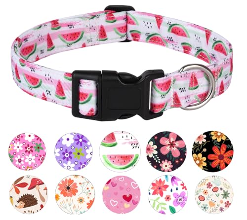 YLrank Hundehalsband, verstellbares Hundehalsband für kleine, mittelgroße und große Hunde, niedliches Welpenhalsband für Jungen und Mädchen, niedliches Design für Jungen, Mädchen, männlich, weiblich, YLrank Hundehalsband, verstellbares Hundehalsband für kleine, mittelgroße und große Hunde, niedliches Welpenhalsband für Jungen und Mädchen, niedliches Design für Jungen, Mädchen, männlich, weiblich, von YLrank