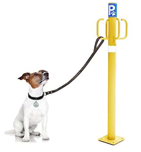 YMBERSA Nayade System Dog Parkplatz für den Außenbereich mit 4 Haken, Gelb von YMBERSA