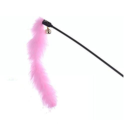 YMLOVE 1 x lustige Vögel fliegende Federn Spielzeug Katzenspielzeug Farbe zufällig YMLOVE 1 x lustige Vögel fliegende Federn Spielzeug Katzenspielzeug Farbe zufällig von YMLOVE