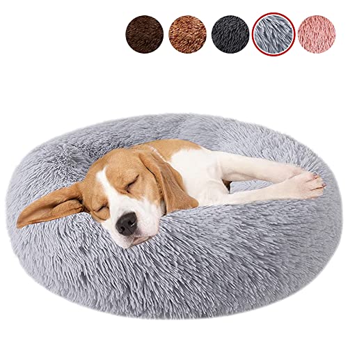 YMWD Beruhigendes Hundebett für große, mittelgroße und kleine Hunde und Katzen, Donut-Kuschelbett, rund, Plüschbett, Anti-Angst, Donut-Hundekuschelbett, waschbar, Plüsch, wärmend, Katzenbetten, YMWD Beruhigendes Hundebett für große, mittelgroße und kleine Hunde und Katzen, Donut-Kuschelbett, rund, Plüschbett, Anti-Angst, Donut-Hundekuschelbett, waschbar, Plüsch, wärmend, Katzenbetten, von YMWD