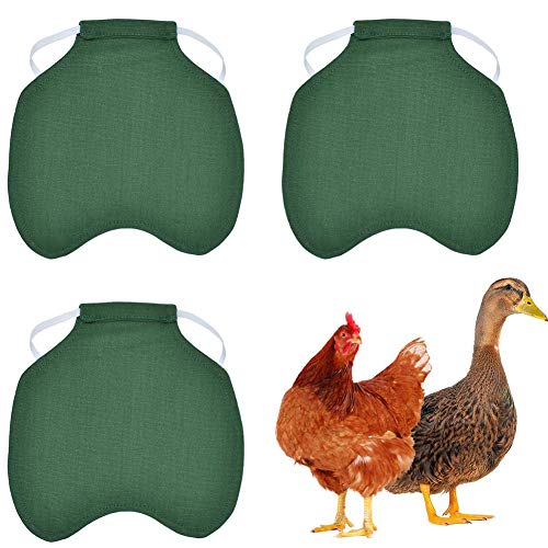 YMZ 3 Stück Hennen-Huhn-Sattelschürze mit Federrückenschutz, Standard-Huhn, Ente, Weste, Kleidung, Jacken (grün) von YMZ