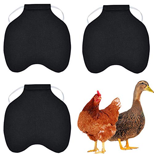 YMZ 3 Stück Hennen-Huhn-Sattelschürze mit Federrückenschutz, Standard Huhn, Ente, Weste, Kleidung, Jacken (schwarz) von YMZ