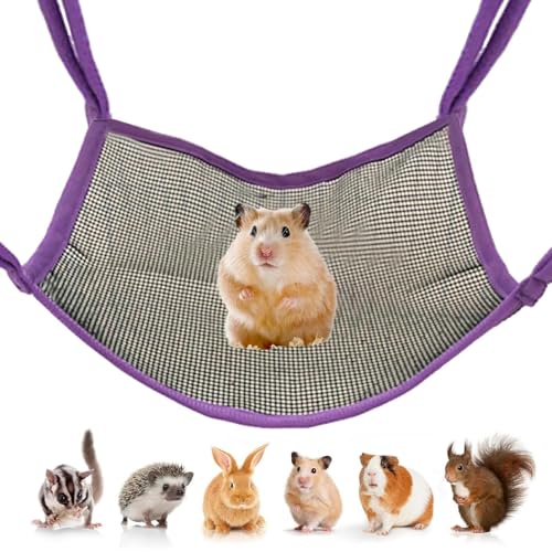 YNPQTDS Chinchilla Hängematte | Haustier Hängematte - Nagefeste Schaukel Spielzeug Schlafplatz Bewegung Beschäftigung Täglicher Einsatz YNPQTDS Chinchilla Hängematte | Haustier Hängematte - Nagefeste Schaukel Spielzeug Schlafplatz Bewegung Beschäftigung Täglicher Einsatz von YNPQTDS