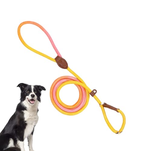 YNPQTDS Gurte für Hunde, Tierband,No-Pull Welpengurt Verstellbares Nylonseil - Fluchtsicheres Anti-Rutsch-Tierzubehör im Freien im Freien für kleine mittelgroße große Hunde von YNPQTDS