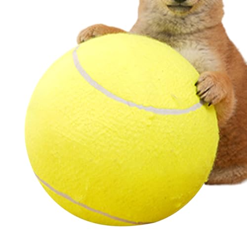 YNPQTDS Tennisbälle für Hunde, Hundekäsekugeln | Welpe Tennisball | Interaktive Haustiervorräte für kleine mittelgroße Innen im Freien im Freien im Freien im Freien von YNPQTDS
