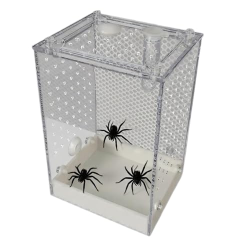 YNPQTDS Vogelspinne Terrarium | Durchsichtige Beobachtungsbox für Käfer - Abnehmbare Spinnenzuchtbox Für Ameisen Grillen Kakerlaken Käfer Zoo Innen Außen von YNPQTDS