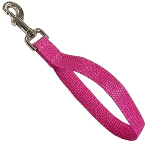 Trainingsleine für Hunde, kurze Schließkontrolle, 25 mm, Polypropylen-Gurtband, 25 cm, Rosa von YNR