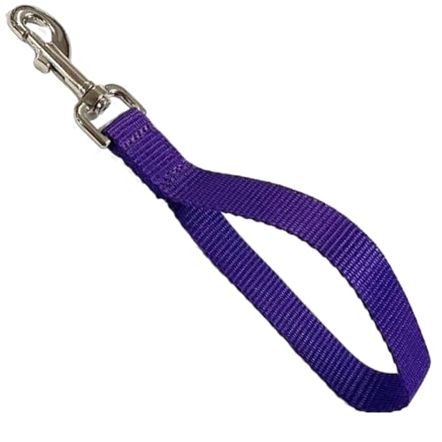 Trainingsleine für Hunde, kurze Schließkontrolle, 25 mm, Polypropylen-Gurtband, 25 cm, Violett von YNR