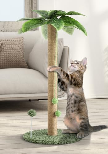YOCONYO Katzenkratzbaum, 83,8 cm, Katzenhütten für Indoor-Katzen, niedlicher Katzenbaum mit baumelndem und Federball, Sisalseilspielzeug für Katzenkratzbaum YOCONYO Katzenkratzbaum, 83,8 cm, Katzenhütten für Indoor-Katzen, niedlicher Katzenbaum mit baumelndem und Federball, Sisalseilspielzeug für Katzenkratzbaum von YOCONYO