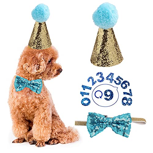 Geburtstagshut für Hunde - Haustier-Geburtstagshut und Fliege Halsband Set mit Nummer, wiederverwendbare Kopfbedeckung für Welpen, Katzen, Kostüme, Party-Dekorationen, Zubehör (Hellblau) von YODOOLTLY