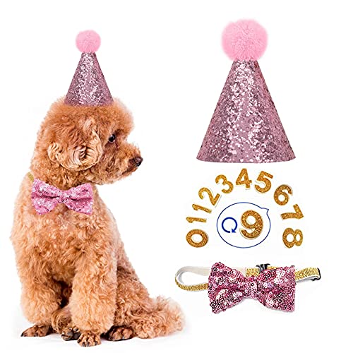 Geburtstagshut für Hunde - Haustier-Geburtstagshut und Fliege Halsband Set mit Nummer, wiederverwendbare Kopfbedeckung für Welpen, Katzen, Kostüme, Party-Dekorationen, Zubehör (Rosa) von YODOOLTLY