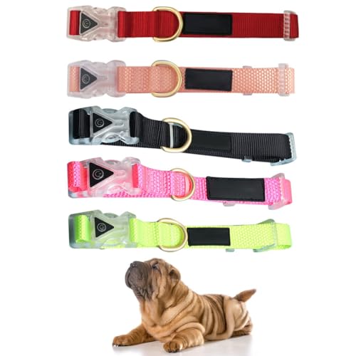 Trainingshalsband für Haustiere mit beleuchteter Schnalle, verstellbar, weiches Nylon, klassisches Design, tragbar und wiederverwendbar für Hunde von YOFAPA