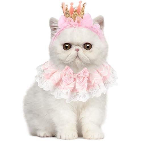 YOFAPA Haustier Halsband mit Krone: Mode dekorative Spitze Katze Fliege mit glänzenden Krone Stirnband für Geburtstag von YOFAPA