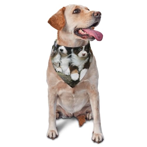 Australian Shepherd Kleine Welpen QuartetDog Bandanas Katze Welpen Schals Waschbar Pet Taschentuch von YOFIEN
