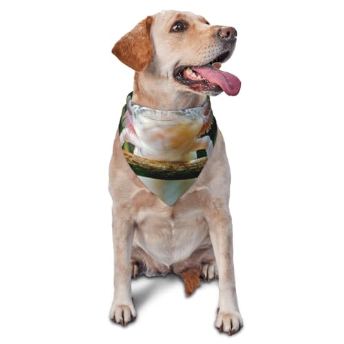 AxolotlDog Bandanas Katze Welpen Schals Waschbar Haustier Taschentuch von YOFIEN