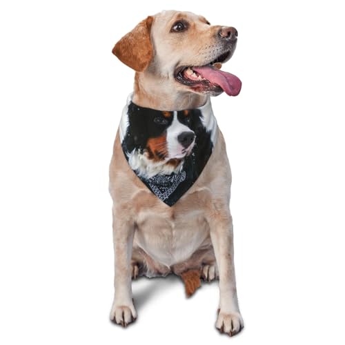 Berner Sennenhund SnowfallDog Bandanas Katze Welpen Schals Waschbar Haustier Taschentuch von YOFIEN