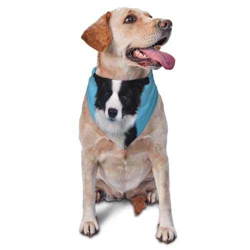 Border Collie PrintedDog Bandanas Katze Welpen Schals Waschbar Pet Taschentuch von YOFIEN
