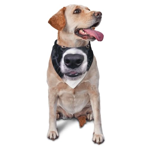 Border Collie & Dogdog Bandanas Katze Welpen Schals Waschbar Pet Taschentuch von YOFIEN
