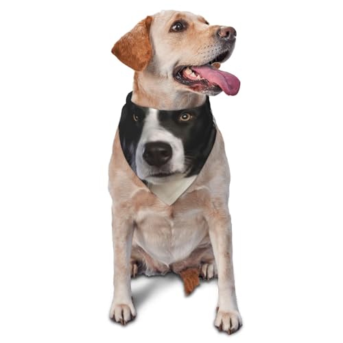 Border CollieDog Bandanas Katze Welpen Schals Waschbar Pet Taschentuch von YOFIEN