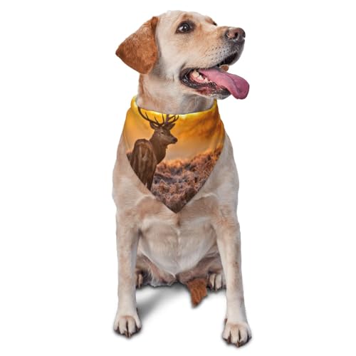 Elch DeerDog Bandanas Katze Welpen Schals Waschbar Pet Taschentuch von YOFIEN