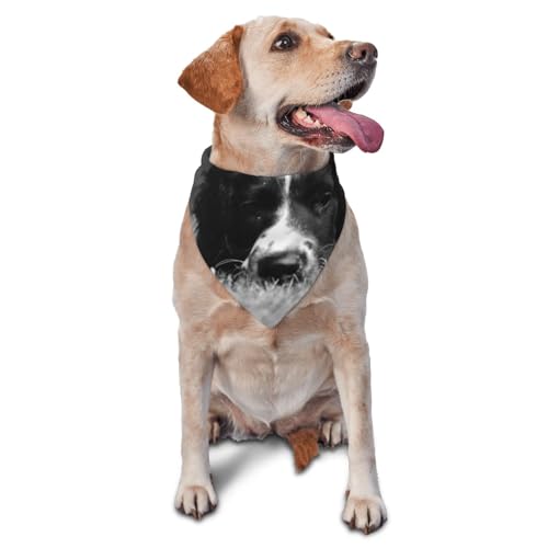 Englisch Springer SpanielDog Bandanas Katze Welpen Schals Waschbar Pet Taschentuch von YOFIEN