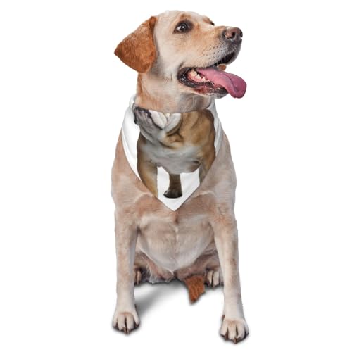 Englische BulldoggeHund Bandanas Katze Welpen Schals Waschbar Haustier Taschentuch von YOFIEN