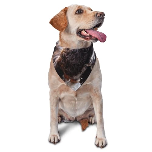 Englischer Cocker Spaniel, bräunlich-weiß, lockig, Hunde, Halstücher, Katzen, Welpen, Schals, waschbar, Haustier-Taschentuch von YOFIEN