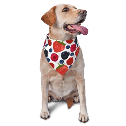 Fallende reife Beeren HimbeerenHunde-Bandanas Katzen-Welpen-Schals Waschbares Haustier-Taschentuch von YOFIEN