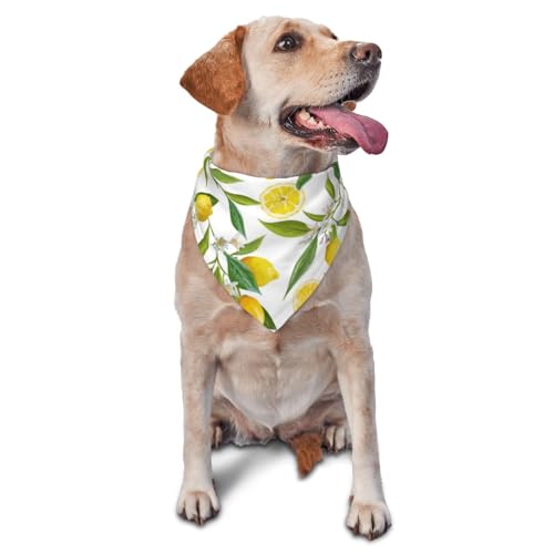 Floral Lemon FruitsDog Bandanas Katze Welpen Schals Waschbar Haustier Taschentuch von YOFIEN