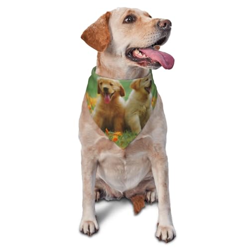 Golden Retriever Welpe Dogdog Bandanas Katze Welpen Schals Waschbar Pet Taschentuch von YOFIEN