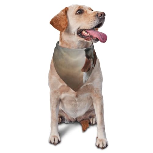 Hund Basset HoundDog Bandanas Katze Welpen Schals Waschbar Pet Taschentuch von YOFIEN