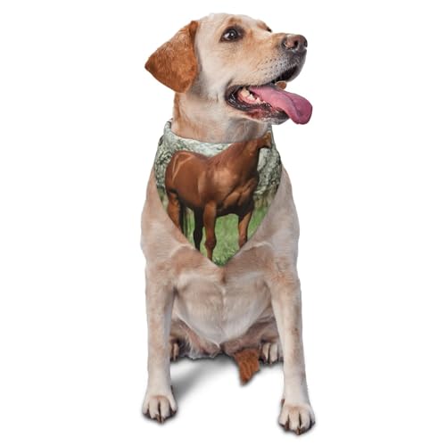 Hundehalstücher mit Pferd und blühenden Bäumen, Bedruckt, für Katzen und Welpen, waschbar, für Haustiere von YOFIEN