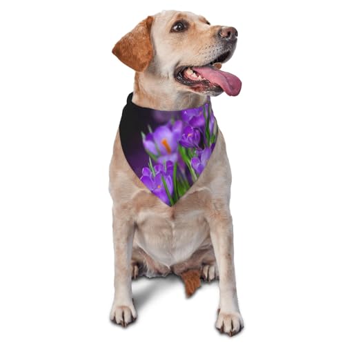 Hundehalstücher mit grünen Blättern und lila Blumen, Bedruckt, für Katzen und Welpen, waschbar, für Haustiere von YOFIEN
