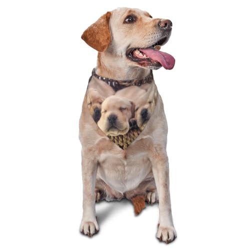 Labradors Kleine Welpen Golden RetrieverDog Bandanas Katze Welpen Schals Waschbar Pet Taschentuch von YOFIEN