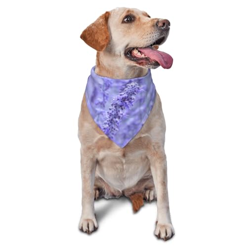 Lila Lavendel farbige Blumen PrintingDog Bandanas Katze Welpen Schals waschbar Pet Taschentuch von YOFIEN