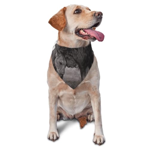 Löwe und Löwin Bedruckte Hunde-Bandanas, Katzen- und Welpenschals, waschbares Haustier-Taschentuch von YOFIEN