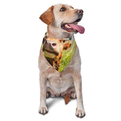 Lustige 3D Kuh CuteDog Bandanas Katze Welpen Schals Waschbar Pet Taschentuch von YOFIEN