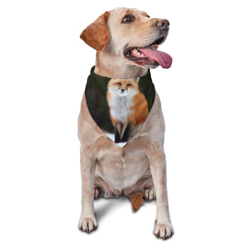 Lustige Fuchs PrintDog Bandanas Katze Welpen Schals Waschbar Pet Taschentuch von YOFIEN