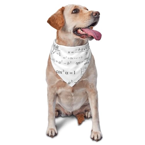 Mathematik- und Geometrieschule mit wissenschaftlichen Formeln, Kreidetafel, Hundehalstücher, Katzen- und Welpenschals, waschbares Haustiertaschentuch von YOFIEN